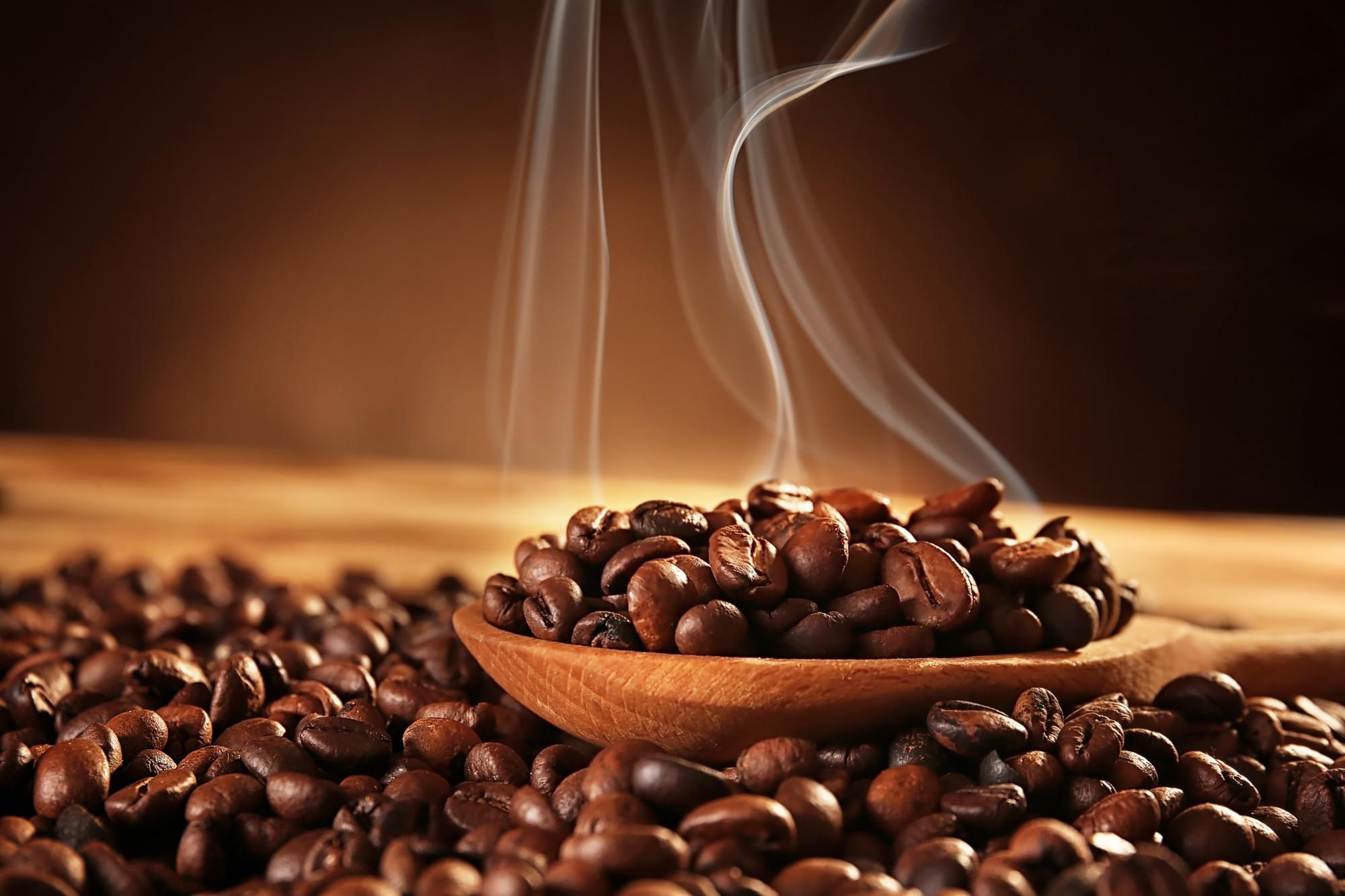 great coffee bean